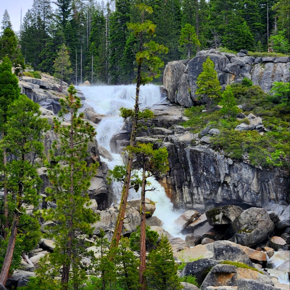 Meet your Posher, Mary